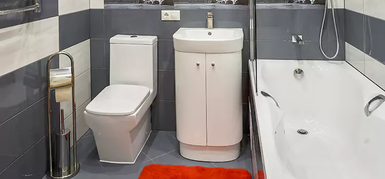Hansgrohe Shaving Mirror Temecula